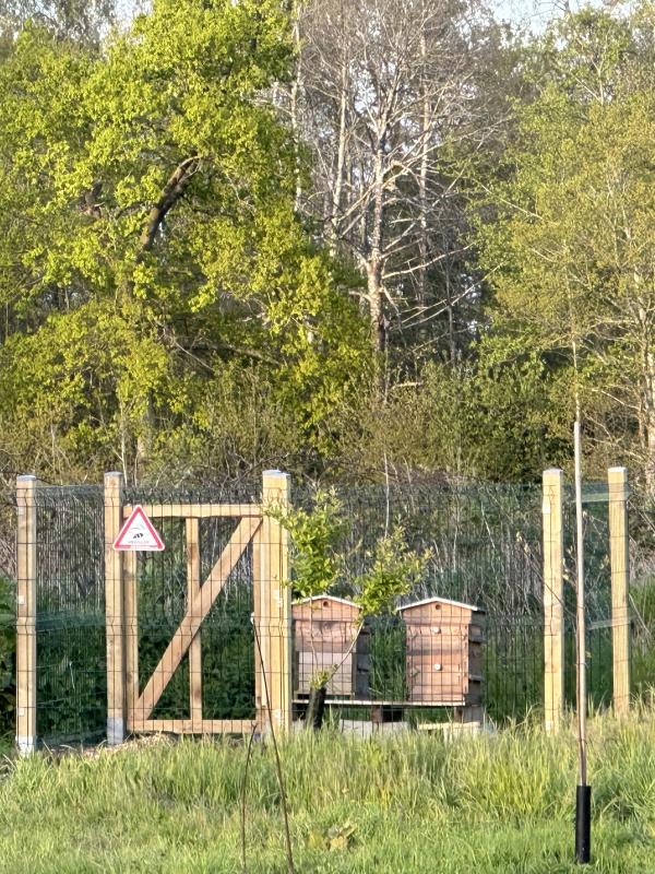Ilot de biodiversité